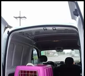 Pet Transportes