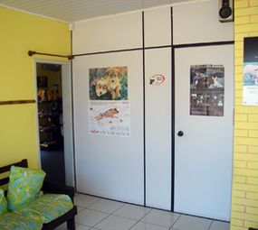 Veterinária Pé Grande photo 4