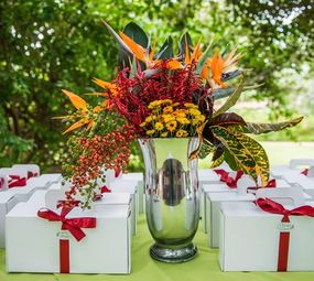 Karen Jaconi Florista photo 5