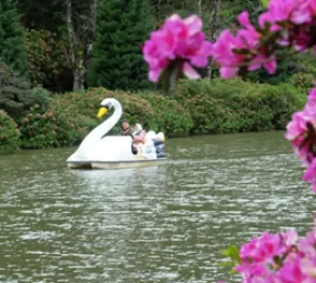 Lago Negro photo 2