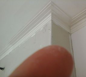 Construgesso photo 4