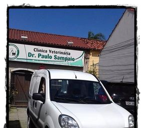 Pet Transportes