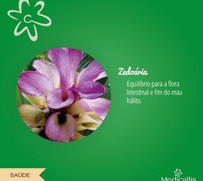 Medicallis Farmácia de Manipulação
