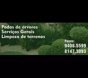 HT Serviços - Podas de Árvores photo 1