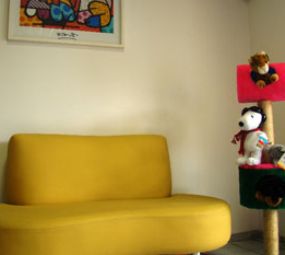 Maison Chien photo 5