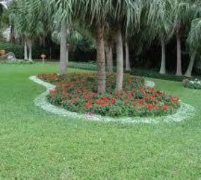 RD Paisagismo e Jardinagem