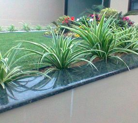 AB Jardinagem photo 3