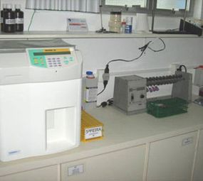 Laboratório Damiani Koerich photo 3