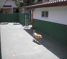 Pet's Place photo 1