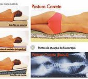 C.Fisio photo 3