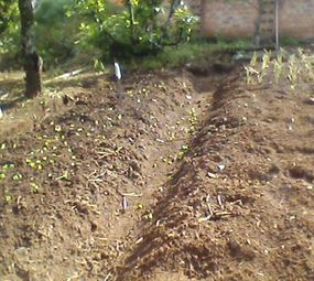 Centro de Reabilitação Morada da Liberdade photo 6