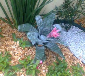 AB Jardinagem photo 4