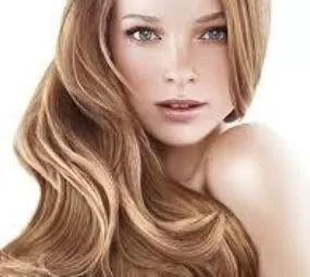 Bem Bella photo 2