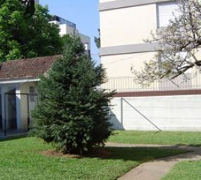 A Casa do Snoopy photo 7