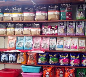 Pet Shop México  photo 6