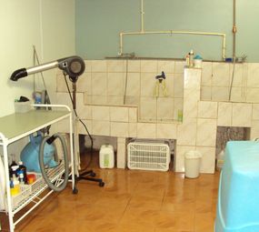 Veterinária Santo Antônio photo 10