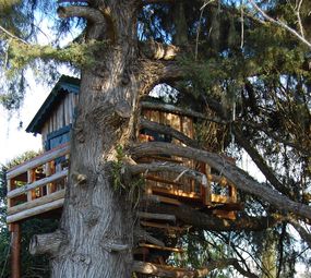Eco Playground photo 9