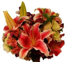 Flor de Baunilha Arte Floral photo 4