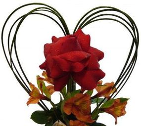 Flor de Baunilha Arte Floral photo 2