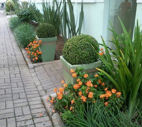 Narcisus Paisagem e Flora - Paisagismo Florianópolis