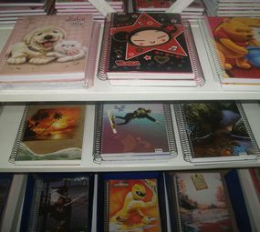 Copavi photo 6