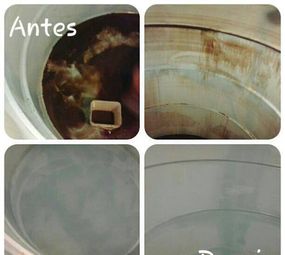 Dedetizadora Mata Tudo