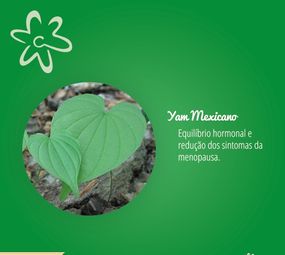 Medicallis Farmácia de Manipulação