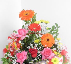 Floricultura Kalachue photo 6