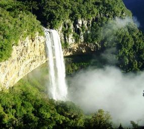 Acolhedora Viagens e Turismo photo 4