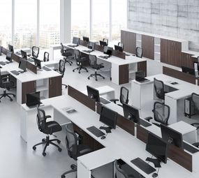 Vecve Office