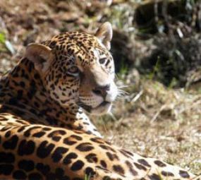 Gramadozoo photo 4