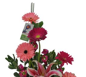 Floricultura Toque de Amor photo 5