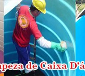 Desentupidora e Dedetizadora RS photo 5
