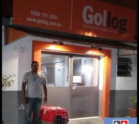 Pet Transportes