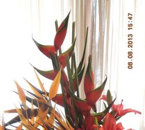 Karen Jaconi Florista photo 7