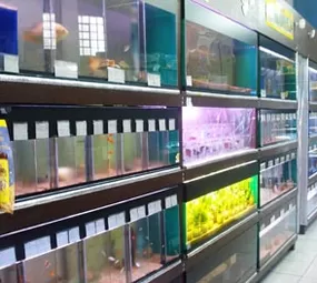 Aquarium Flora & Fauna photo 2