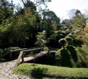Bosque Gutierrez / Memorial Chico Mendes photo 1