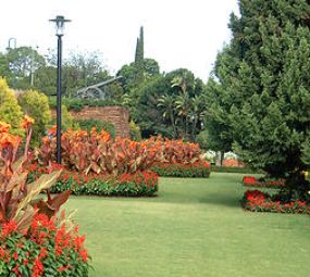 Da Ilha Jardinagem