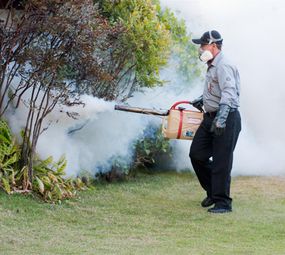 Doutor Prag serviços de dedetização, desratização e controle de pragas
