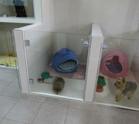 Centro Médico Veterinário - Silvia Bello photo 8