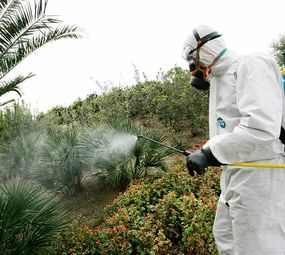 Doutor Prag serviços de dedetização, desratização e controle de pragas