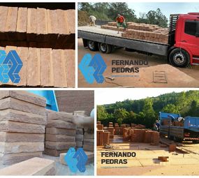 Fernando Pedras