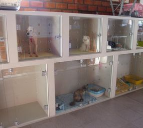 Centro Médico Veterinário - Silvia Bello photo 5