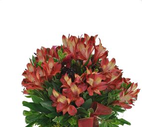 Floricultura Toque de Amor photo 9